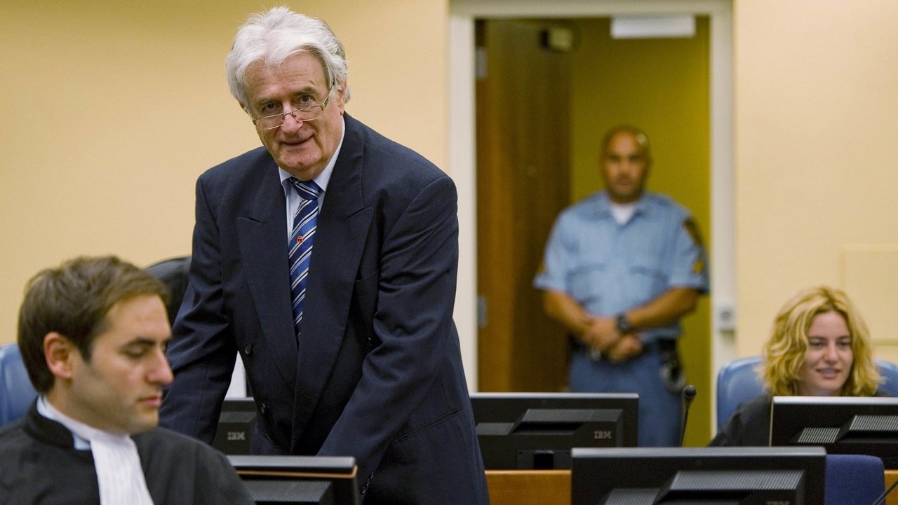 Backdrop image for movie The Serbian Lawyer
