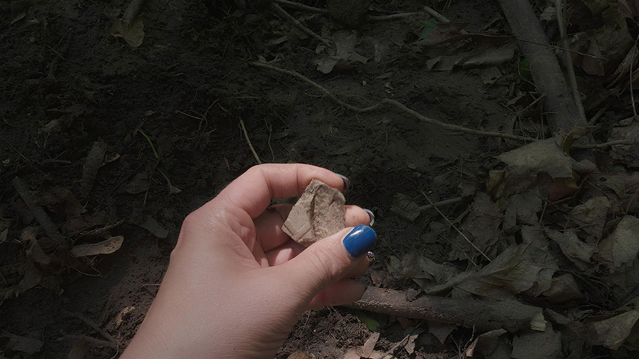 Backdrop image for movie Unica