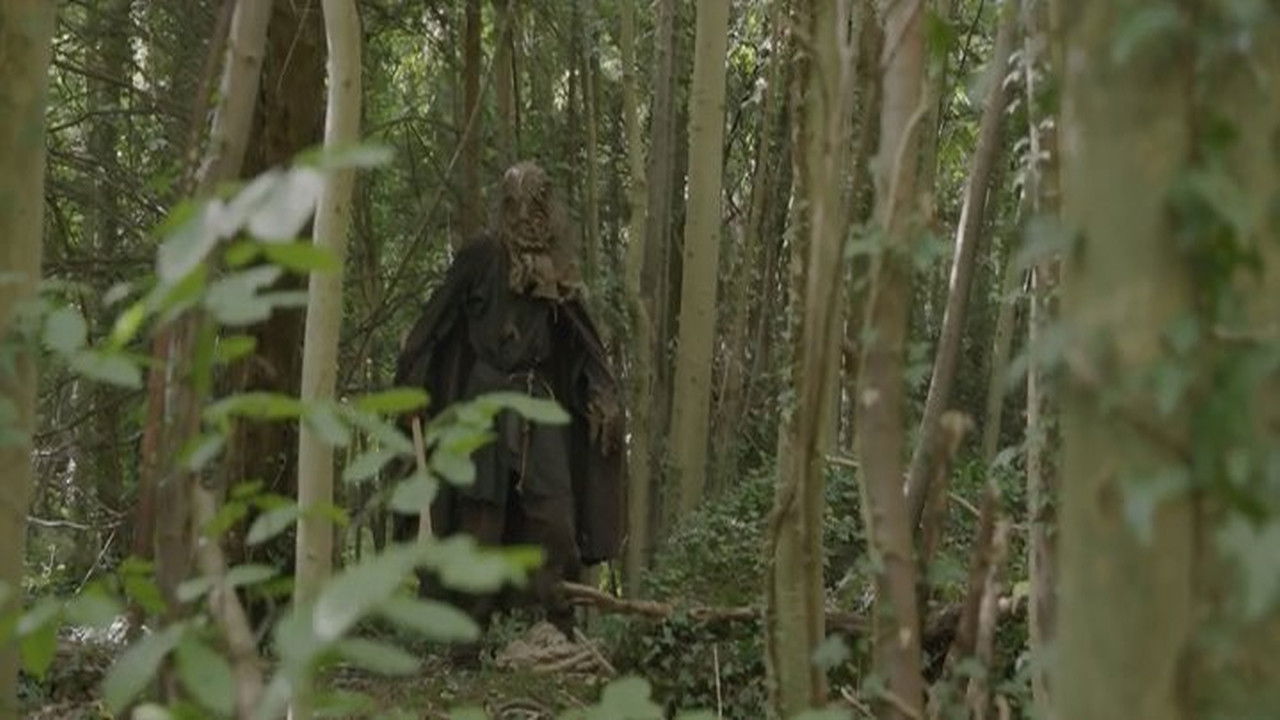 Backdrop image for movie Scarecrow's Revenge