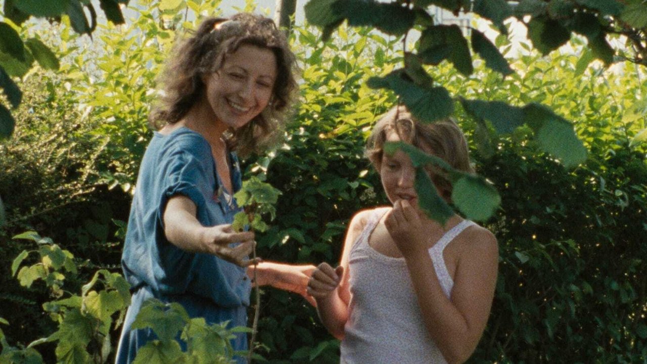 Backdrop image for movie The Green Ray
