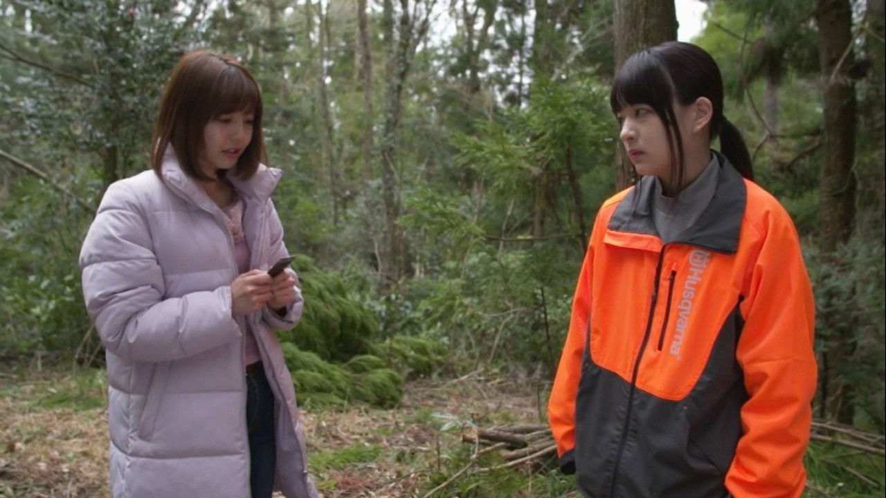 Backdrop image for movie Yogari no mori: Hotetta onna-tachi