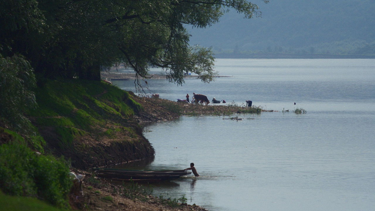 Backdrop image for movie Silent Flood