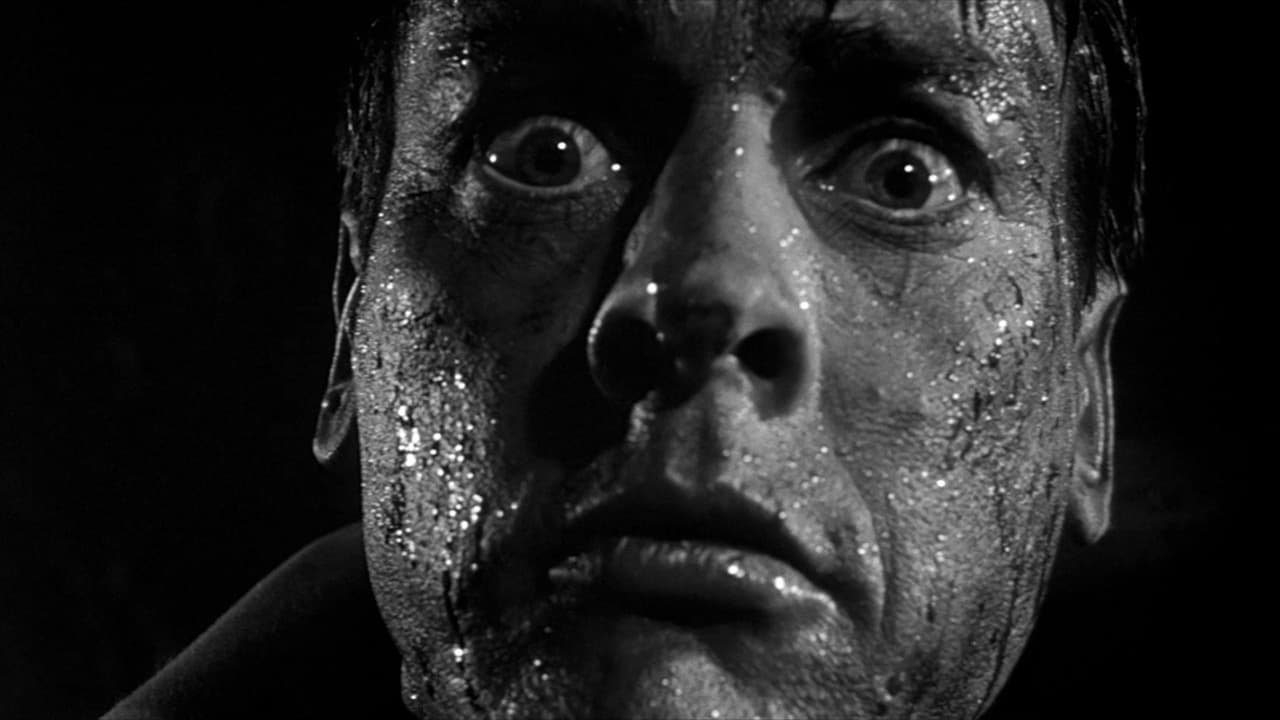 Backdrop image for movie Invasion of the Body Snatchers