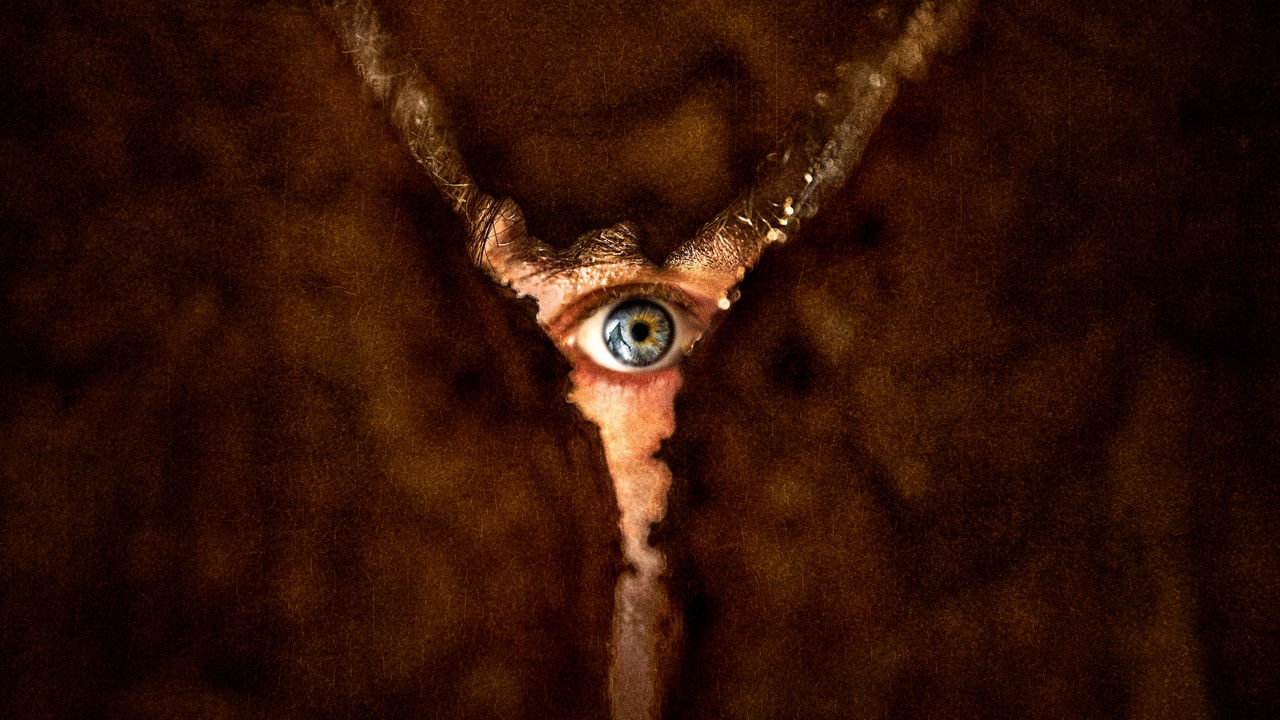 Backdrop image for movie Return to Silent Hill