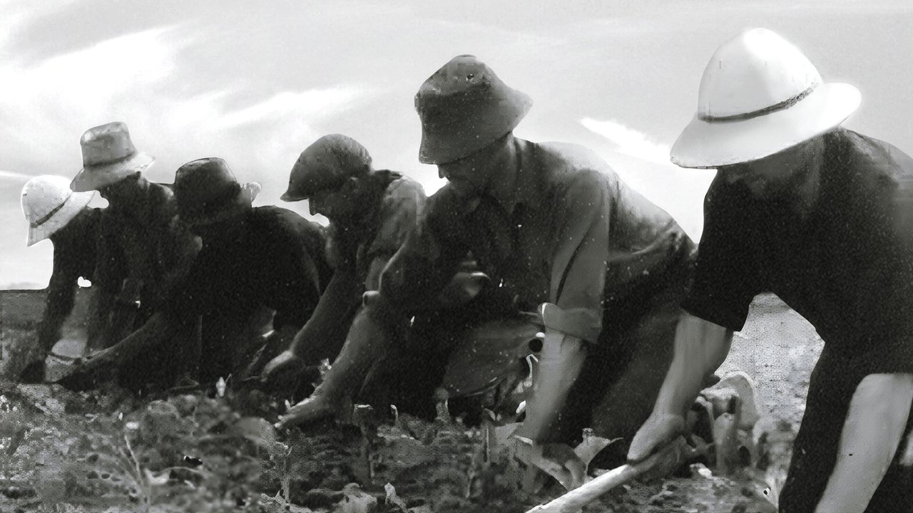 Backdrop image for movie La Ceinture Dorée