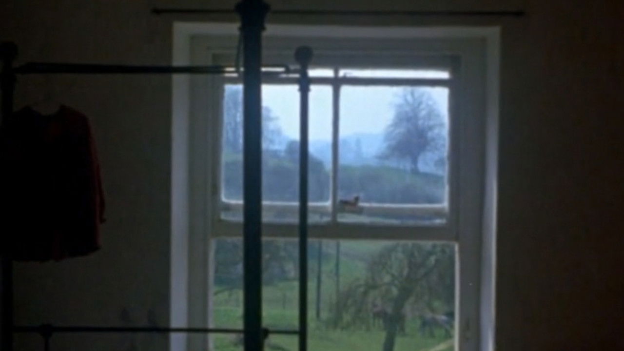 Backdrop image for movie Windows