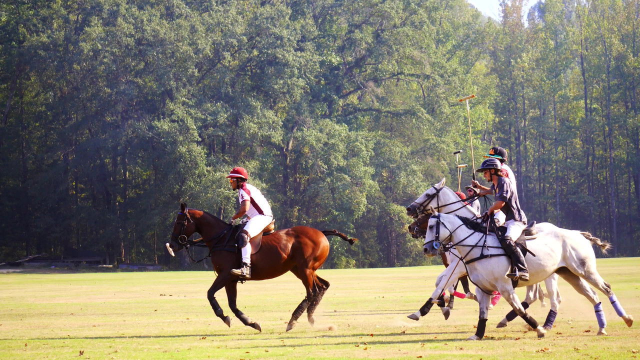 Backdrop image for movie From Rodeo to Polo: The 1st HBCU Polo Team