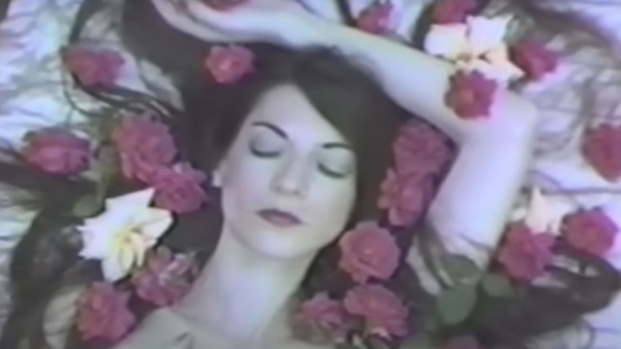 Backdrop image for movie Possibly in Michigan