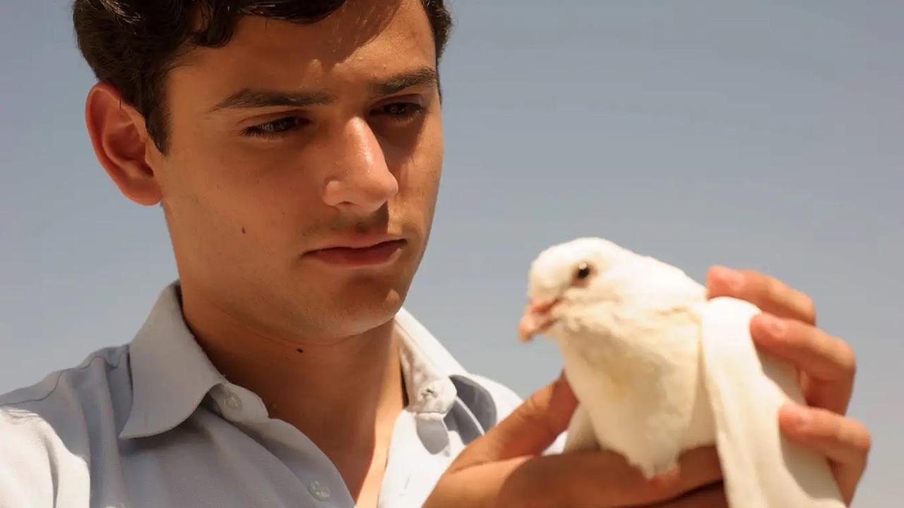 Backdrop image for movie Farewell Baghdad