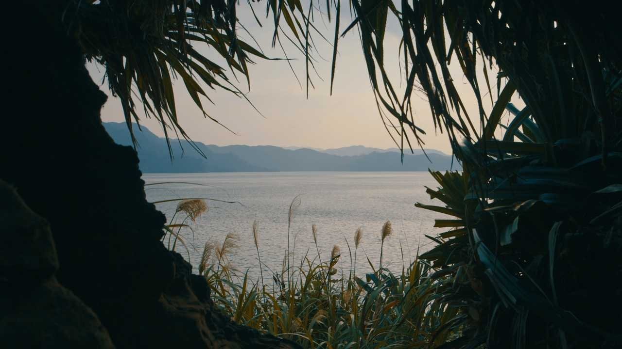 Backdrop image for movie Green Jail