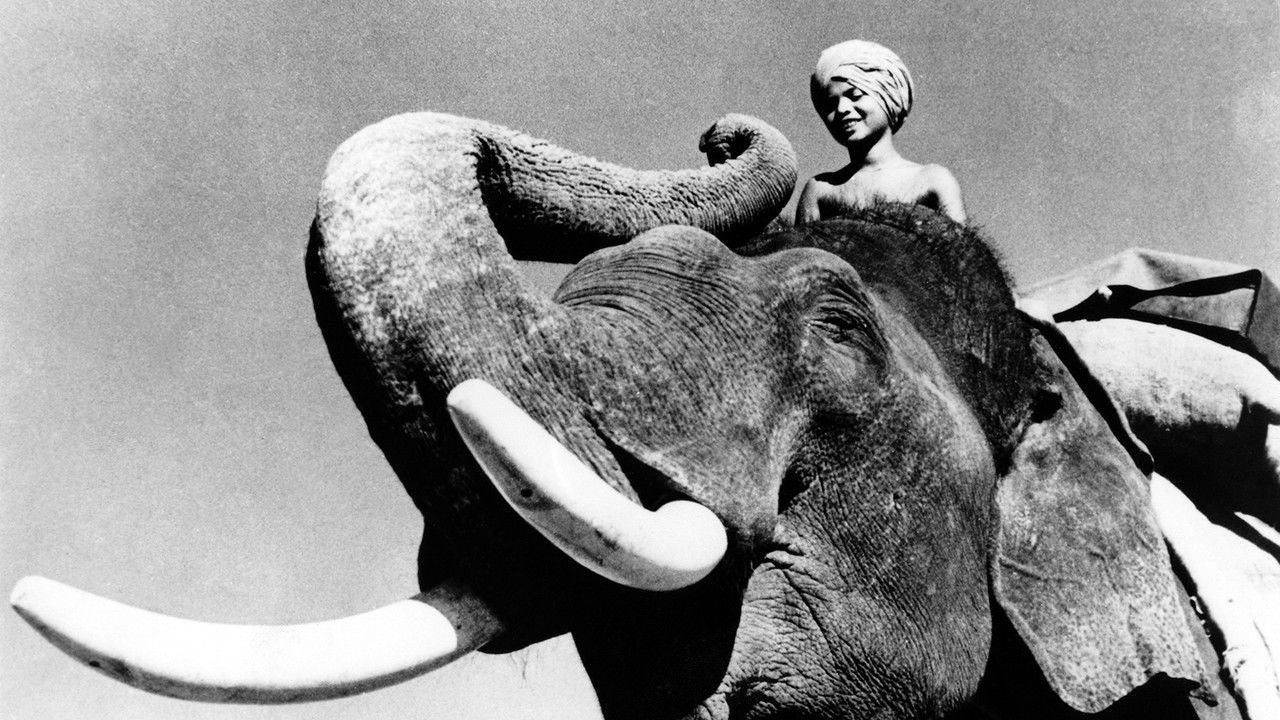 Backdrop image for movie Elephant Boy