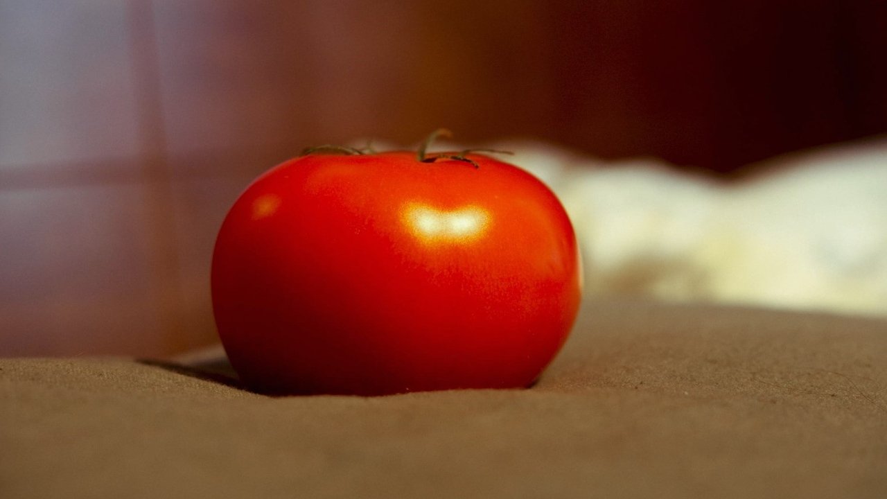 Backdrop image for movie It's rolling like a tomato