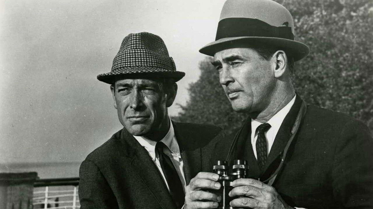 Backdrop image for movie The Doctor and the Playgirl