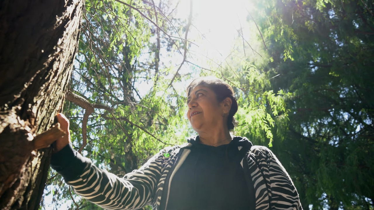 Backdrop image for movie AMAR