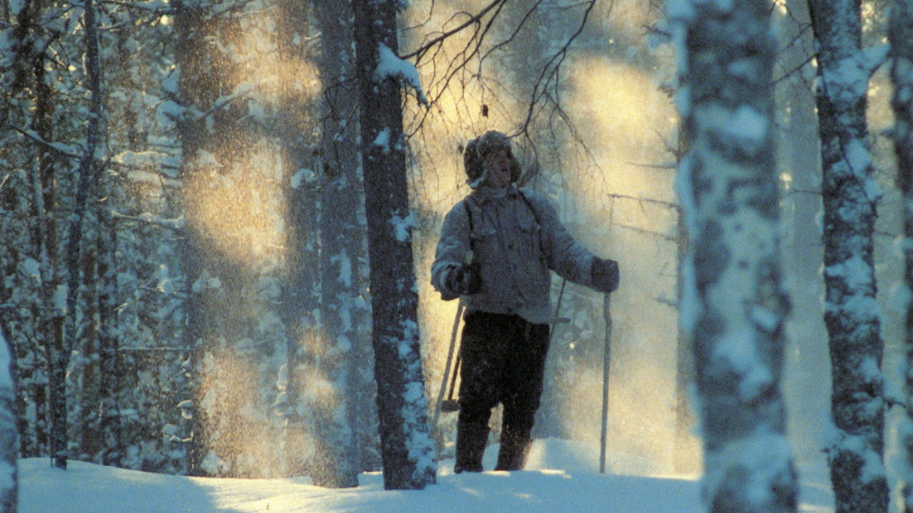 Backdrop image for movie Nuoruuteni savotat