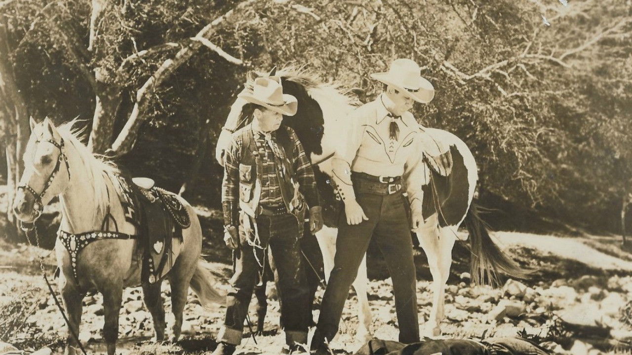 Backdrop image for movie Range Law