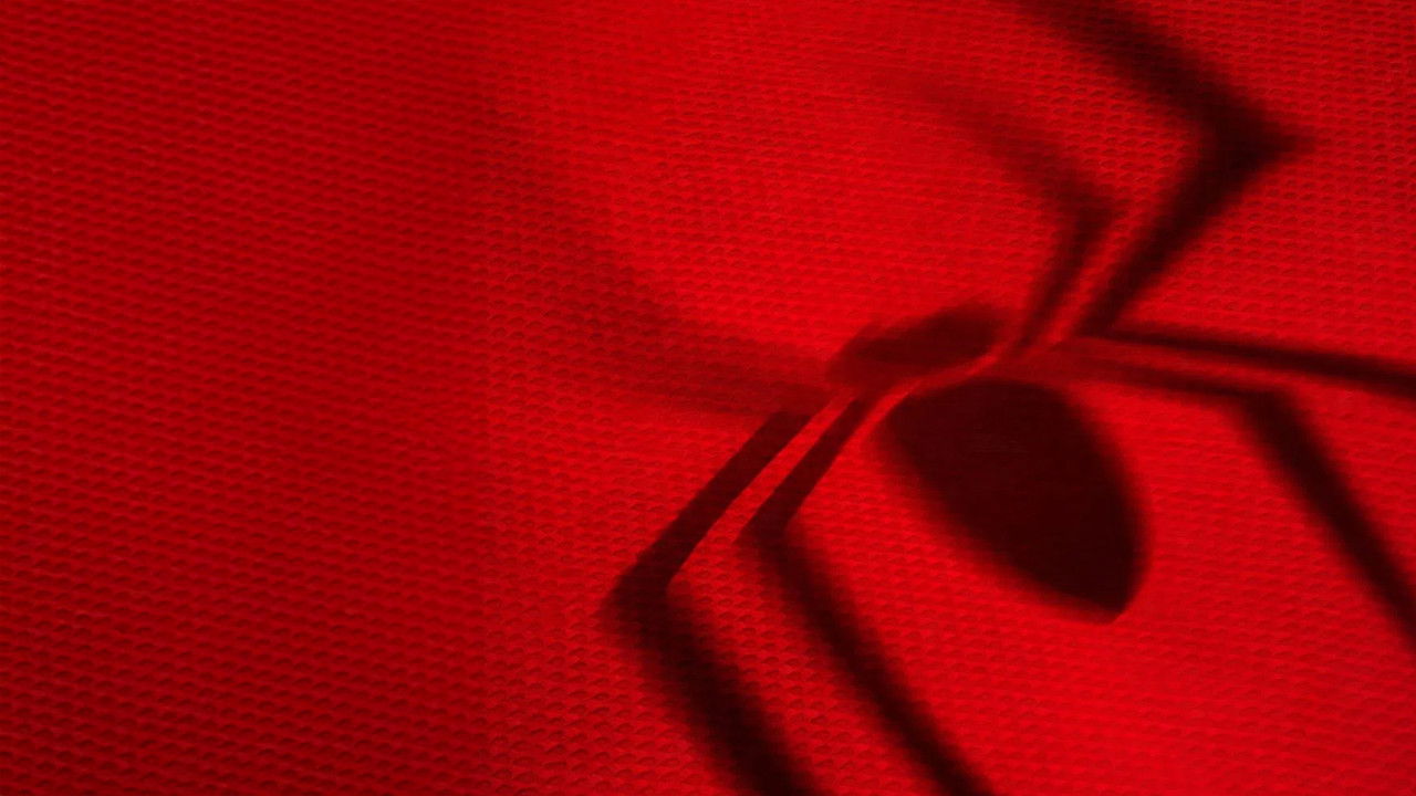 Backdrop image for movie Spider-Man: Brand New Day