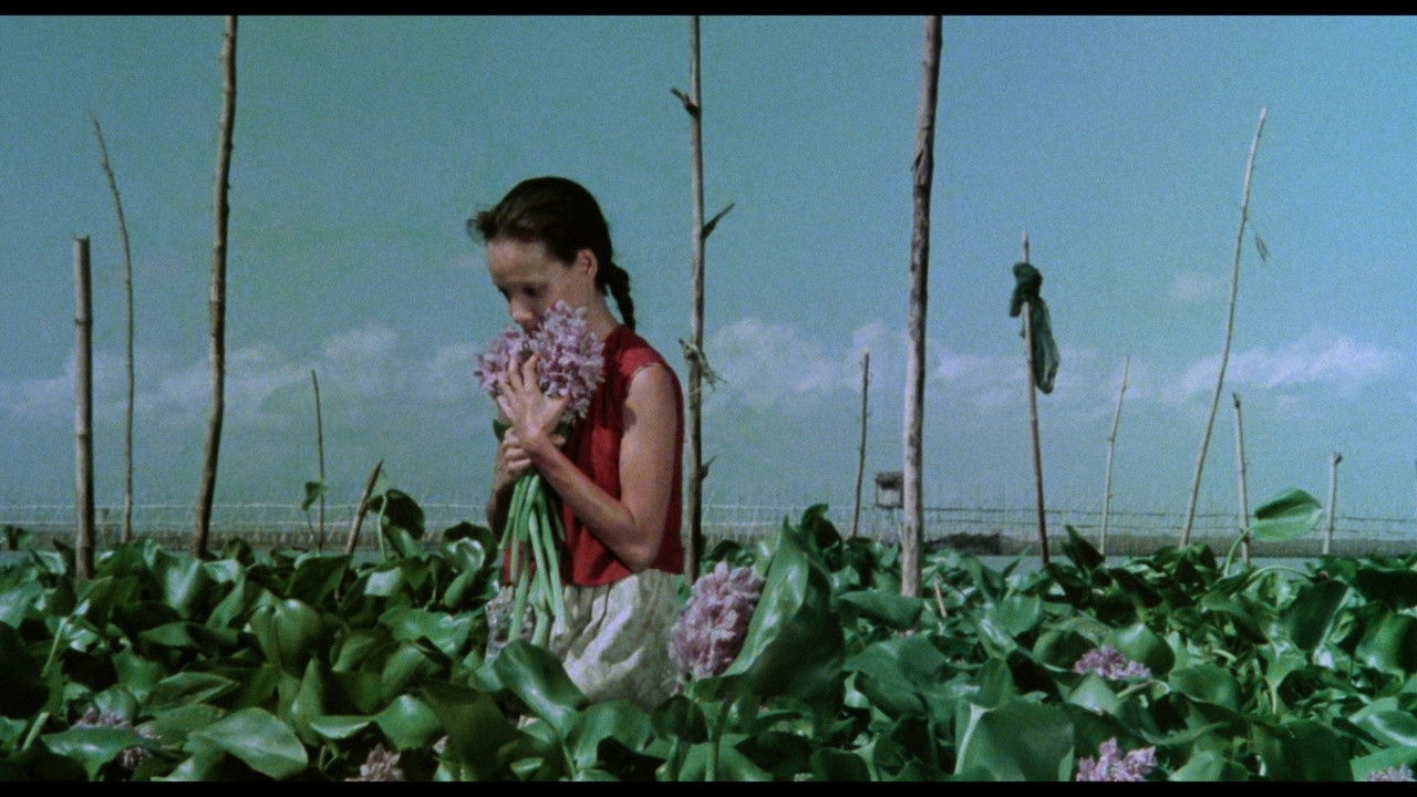 Backdrop image for movie A Speck in the Water