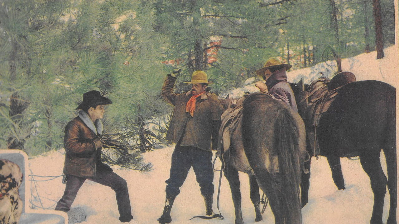 Backdrop image for movie Trailing North