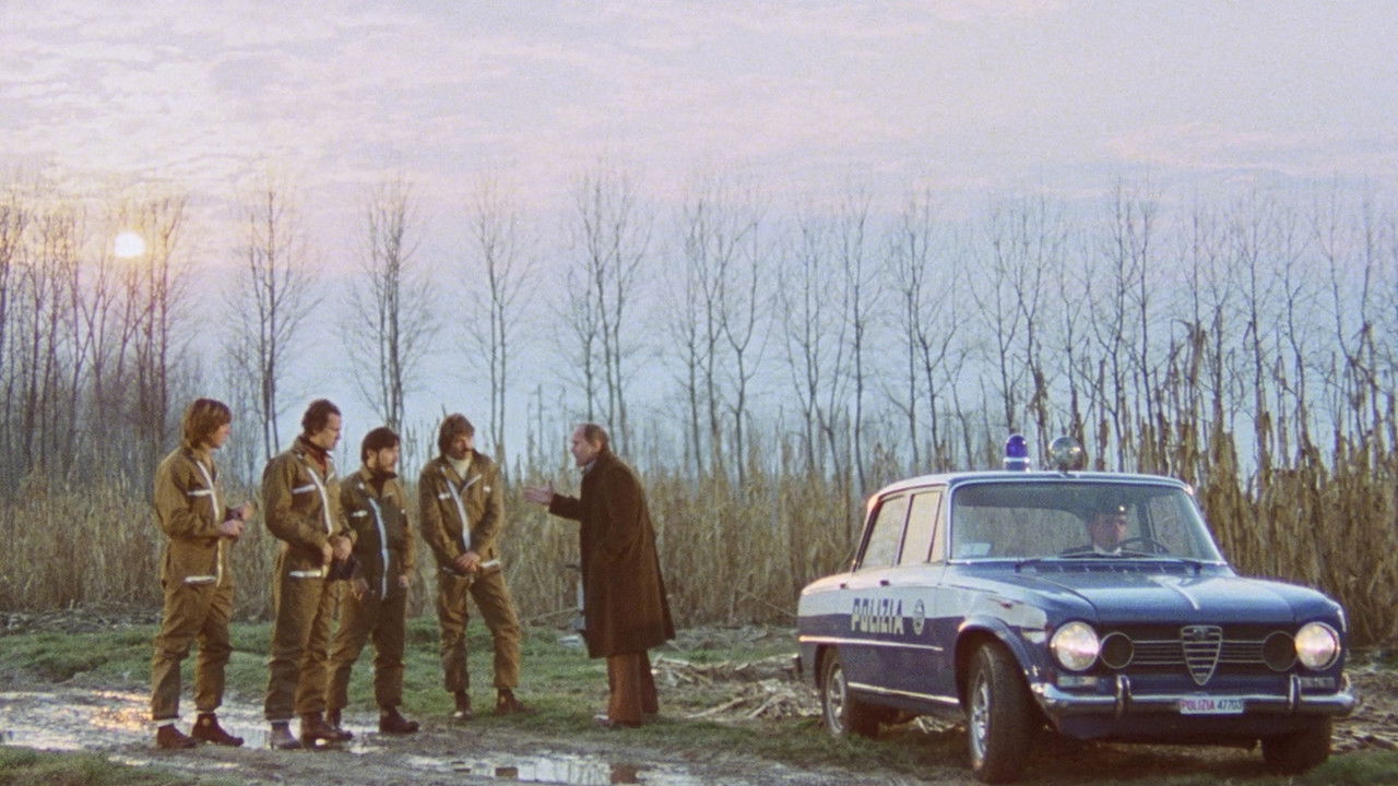 Backdrop image for movie Colt 38 Special Squad