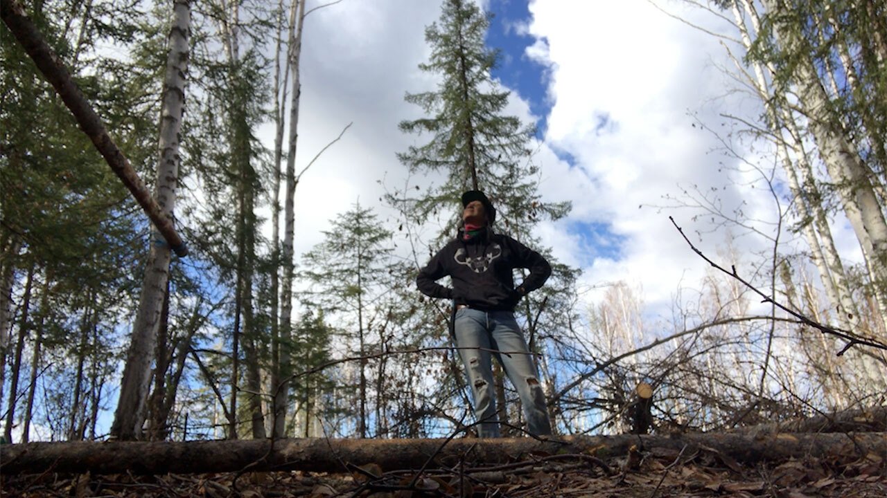 Backdrop image for movie K'i Tah Amongst the Birch