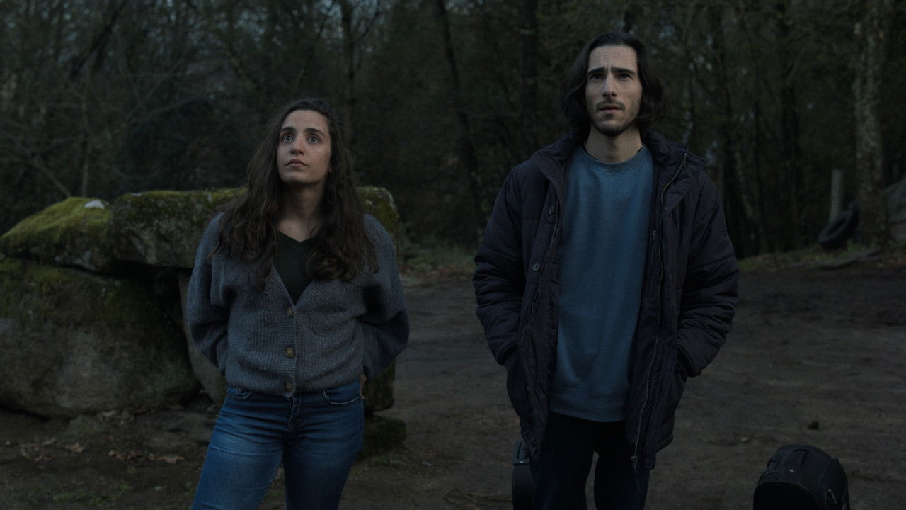 Backdrop image for movie A Floresta