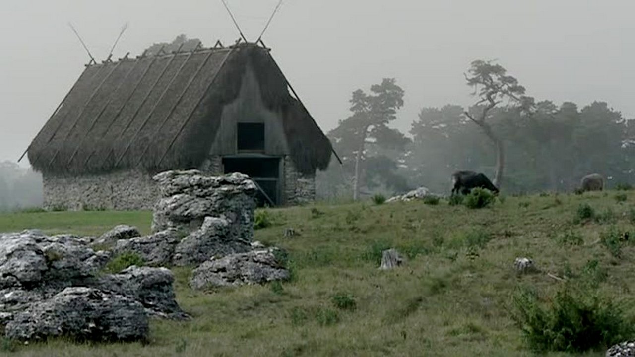 Backdrop image for movie Bergman Island