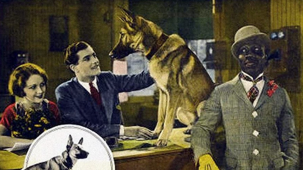 Backdrop image for movie The Outlaw Dog