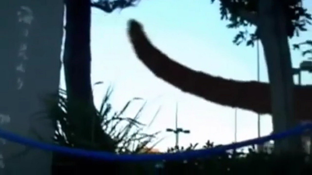 Backdrop image for movie Monster
