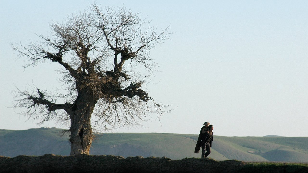 Backdrop image for movie Two-Legged Horse