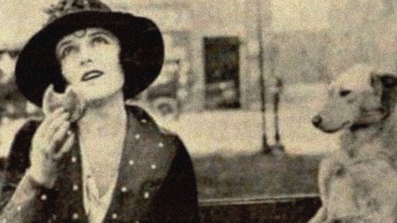 Backdrop image for movie The City of Tears