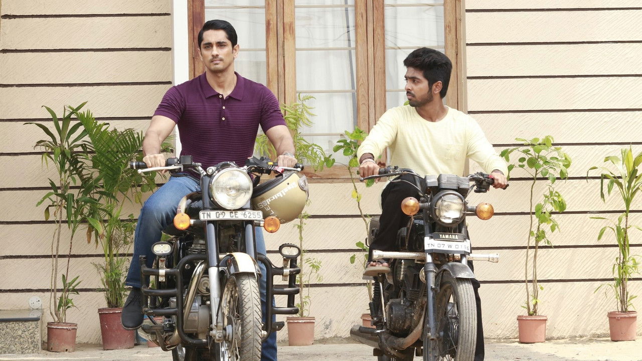 Backdrop image for movie Sivappu Manjal Pachai