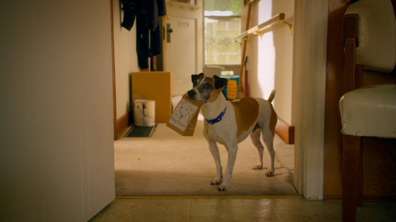 Backdrop image for movie Treasure Hounds