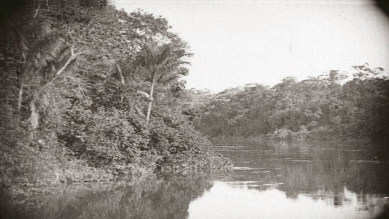 Backdrop image for movie Amazon: Longest River in the World