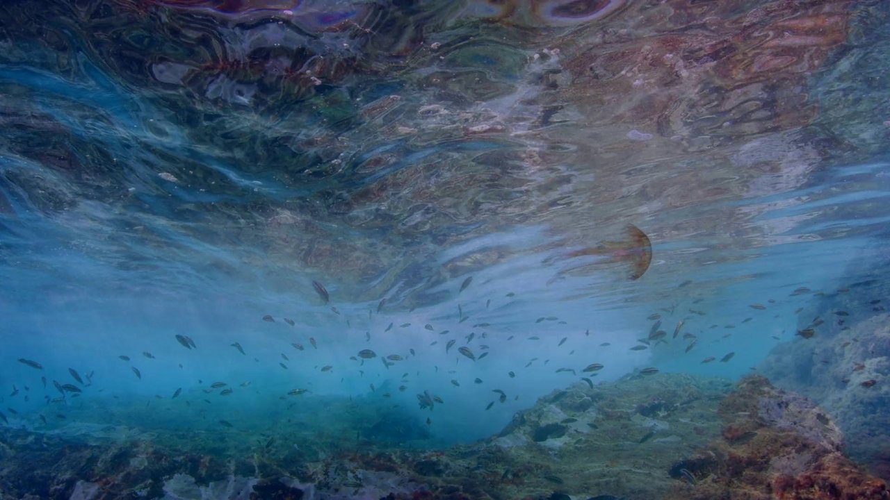 Backdrop image for movie Life in the Blue