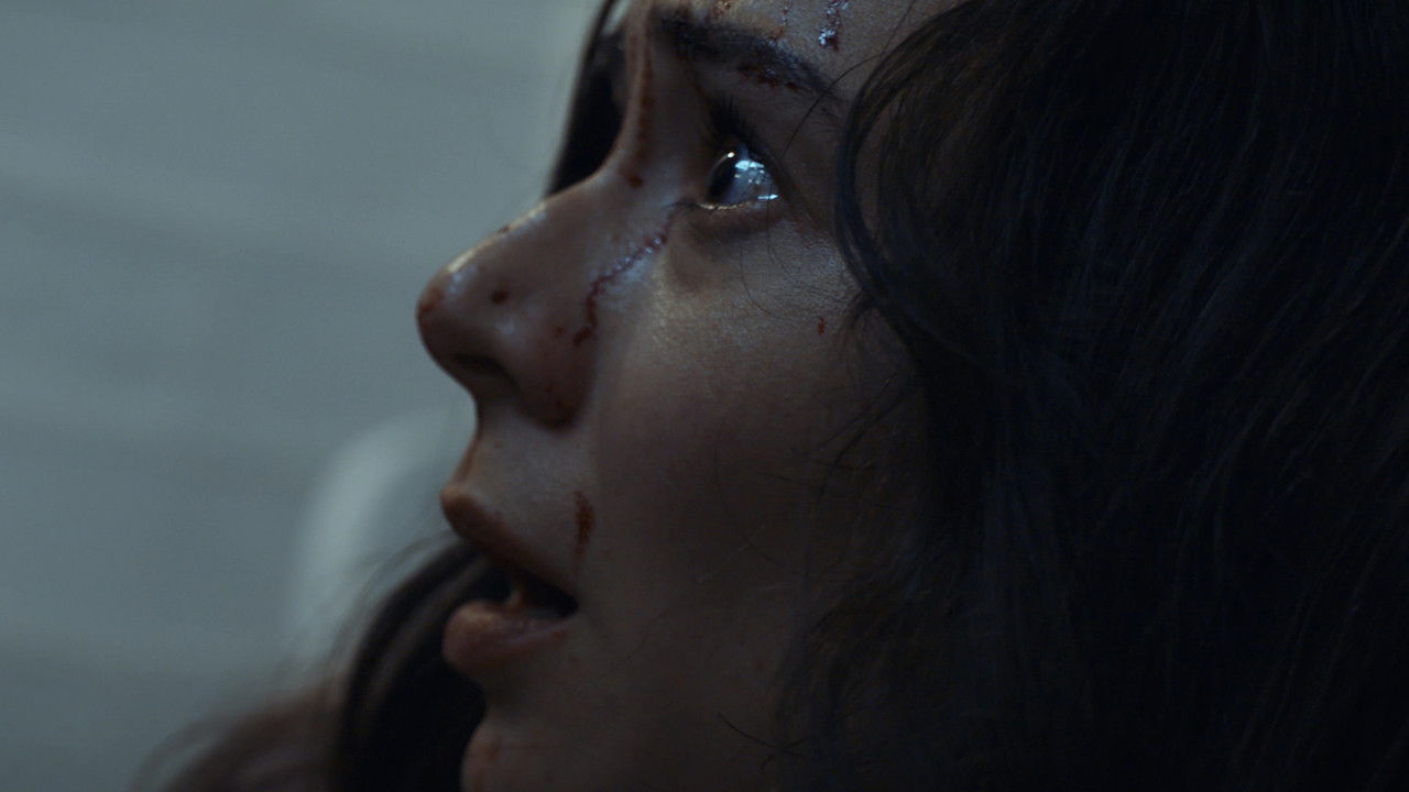 Backdrop image for movie The Silhouette