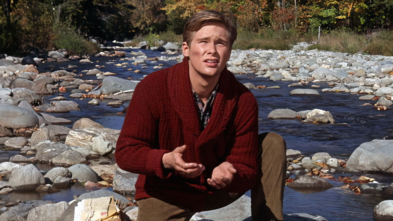 Backdrop image for movie Those Calloways