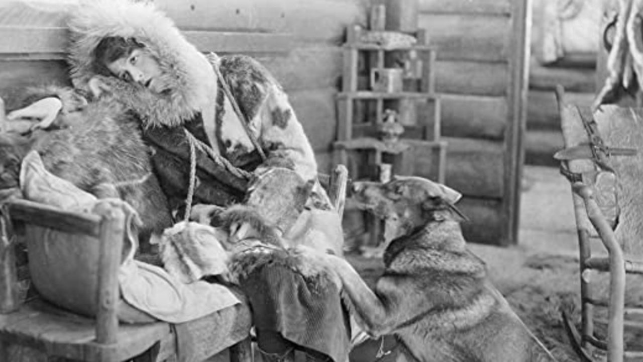 Backdrop image for movie Tracked in the Snow Country