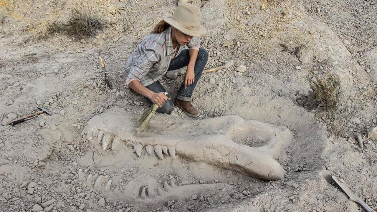 Backdrop image for movie Valley of Bones