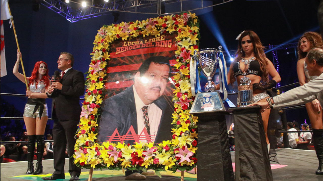 Backdrop image for movie AAA Héroes Inmortales XII