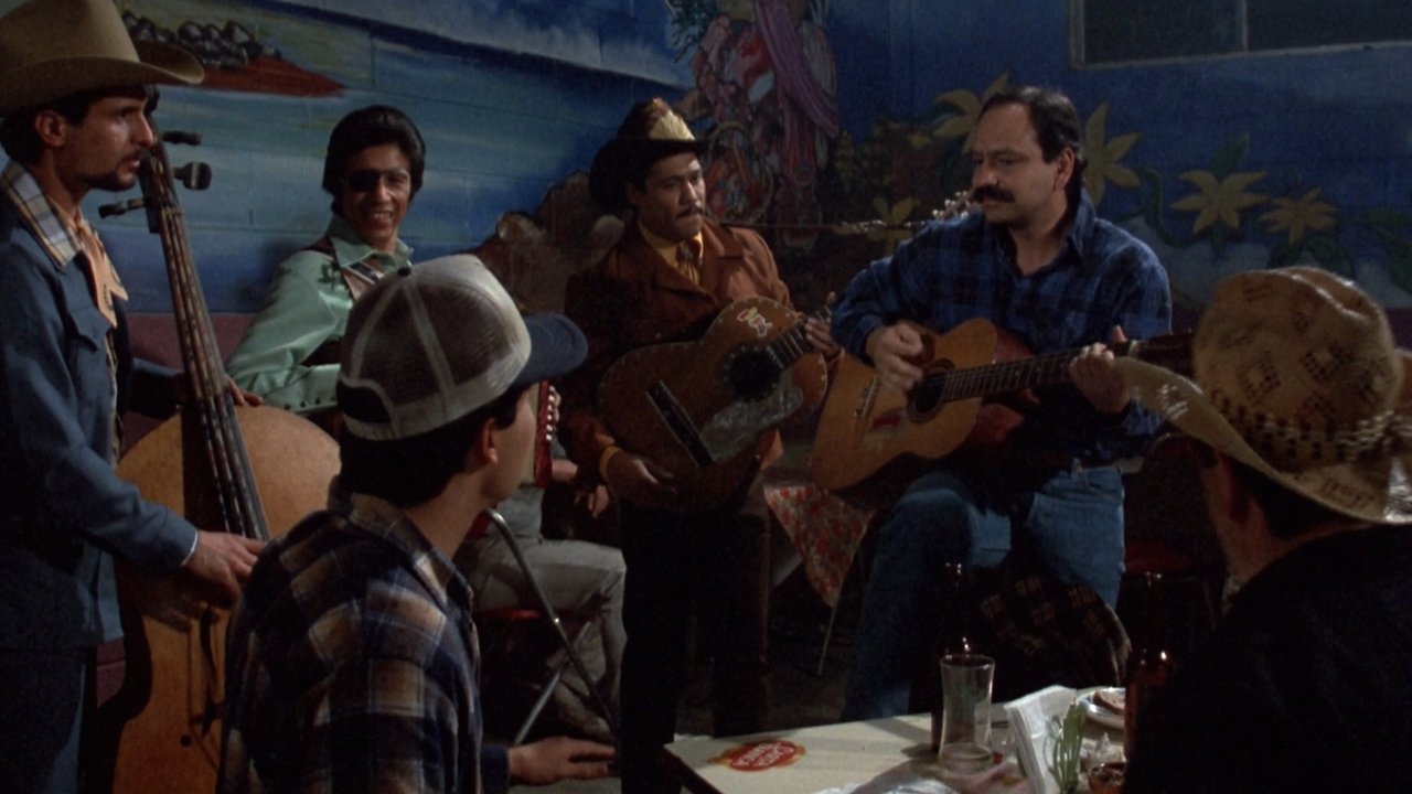 Backdrop image for movie Born in East L.A.