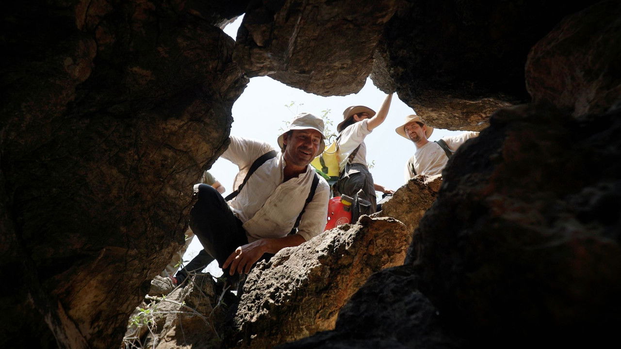 Backdrop image for movie Afrique : Sur la piste des premiers hommes