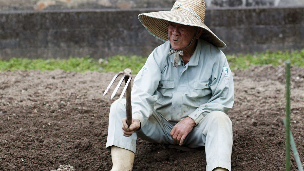 Backdrop image for movie The Longevity Film