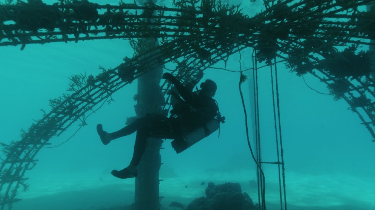 Backdrop image for movie Bora Bora, le laboratoire du futur