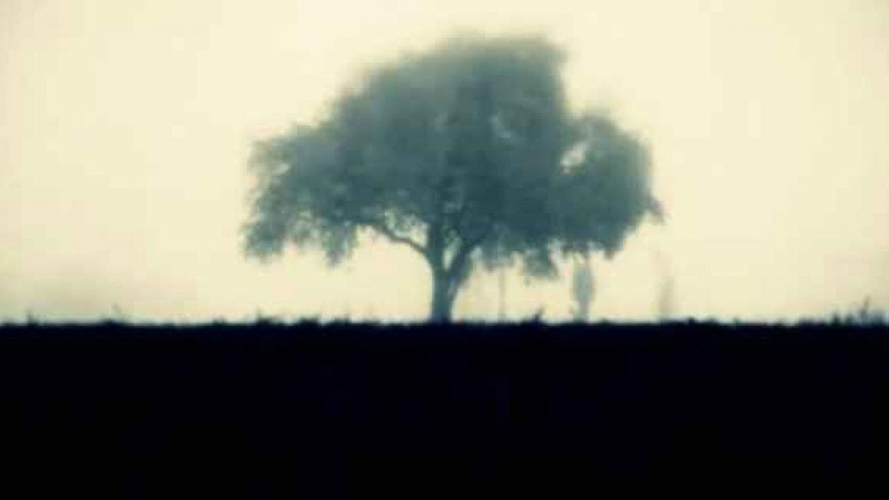 Backdrop image for movie Burning of the Red Lotus Monastery