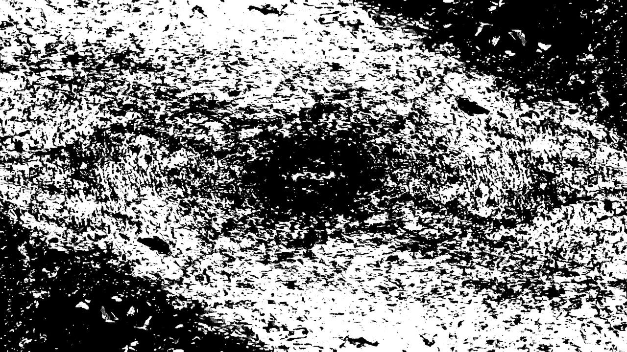 Backdrop image for movie Insect Theory