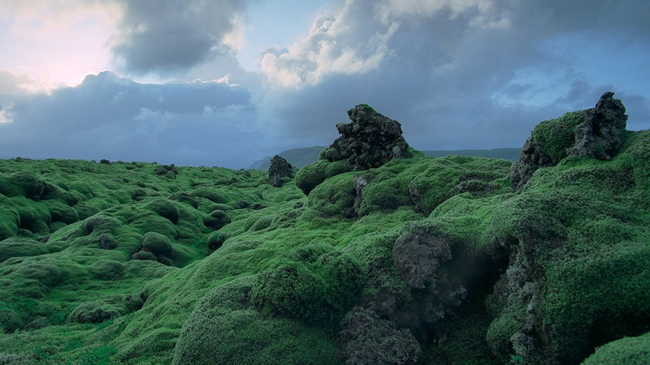 Backdrop image for movie Voyage of Time: The IMAX Experience