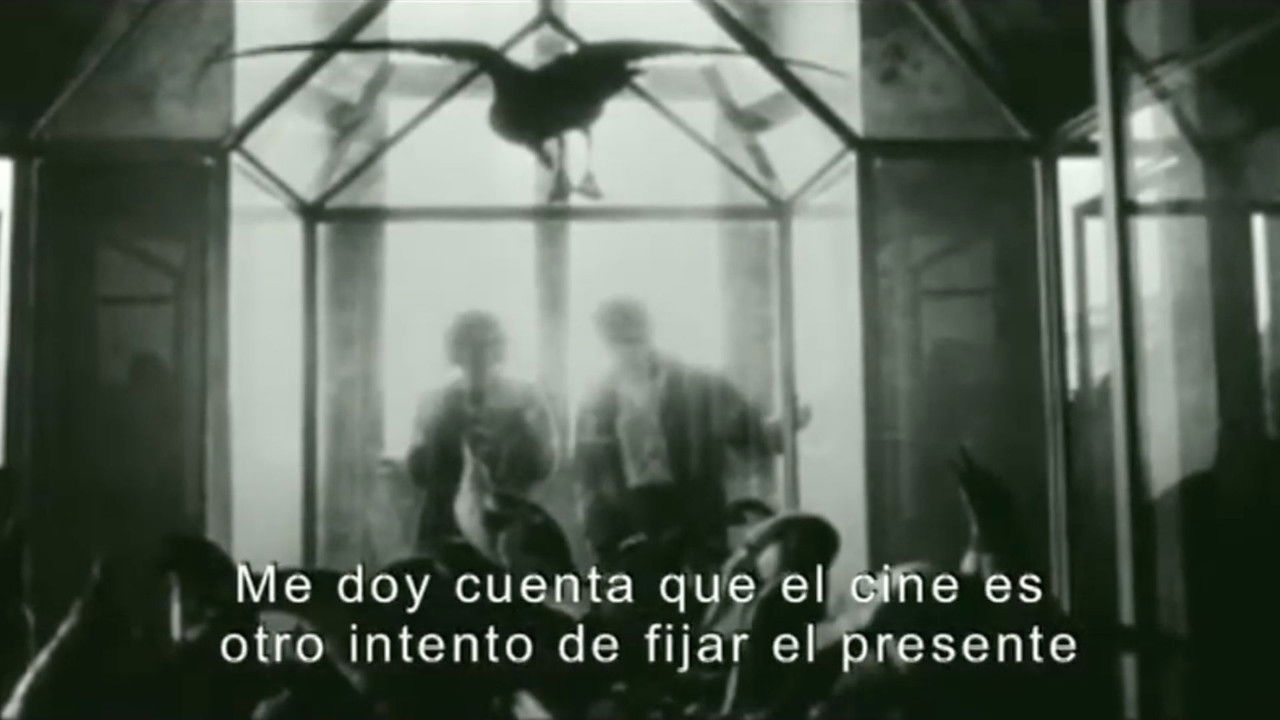 Backdrop image for movie Time and Memory