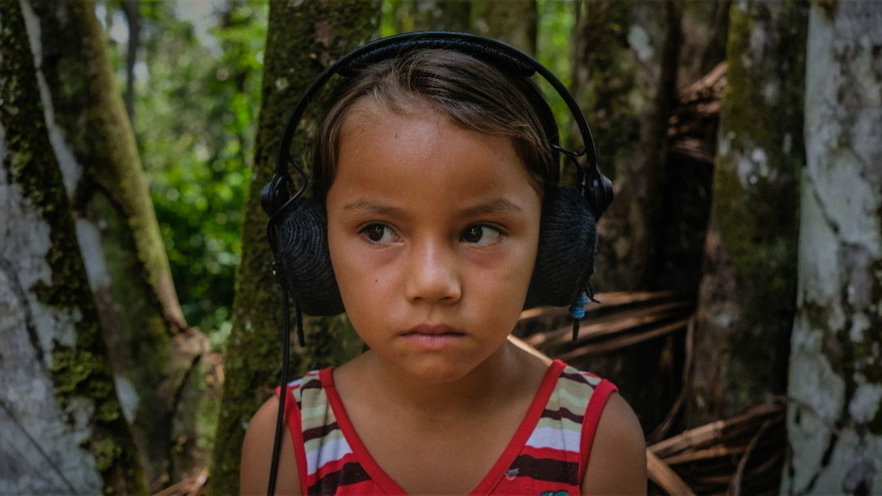 Backdrop image for movie Curupira, creature of the woods