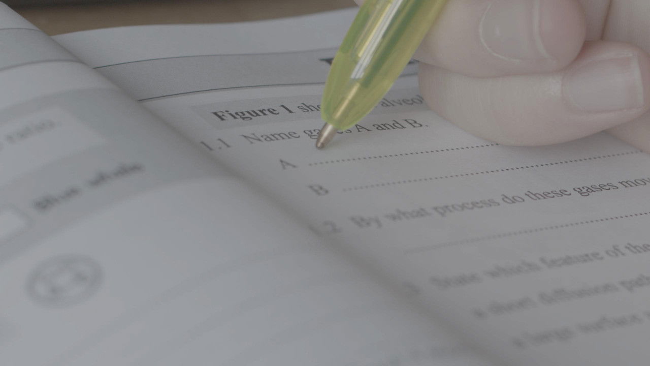 Backdrop image for movie Biology Homework